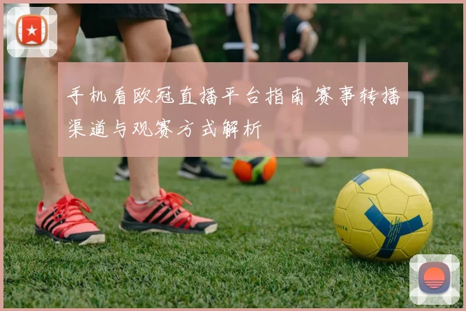 手机看欧冠直播平台指南 赛事转播渠道与观赛方式解析