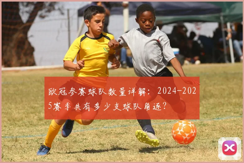 欧冠参赛球队数量详解：2024-2025赛季共有多少支球队角逐？