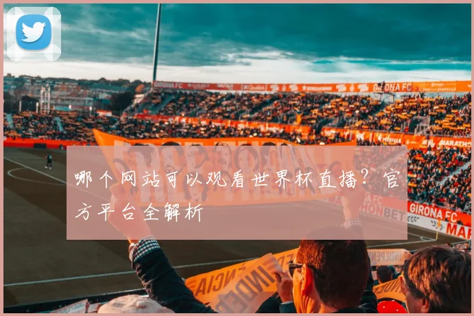 哪个网站可以观看世界杯直播？官方平台全解析