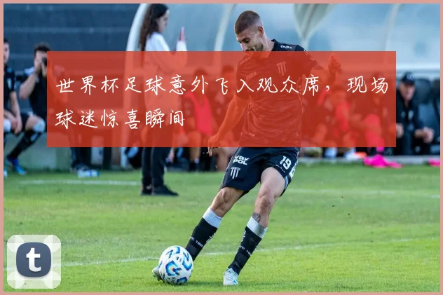 世界杯足球意外飞入观众席，现场球迷惊喜瞬间