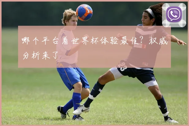 哪个平台看世界杯体验最佳？权威分析来了