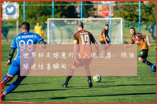 世界杯足球意外飞入观众席，现场球迷惊喜瞬间