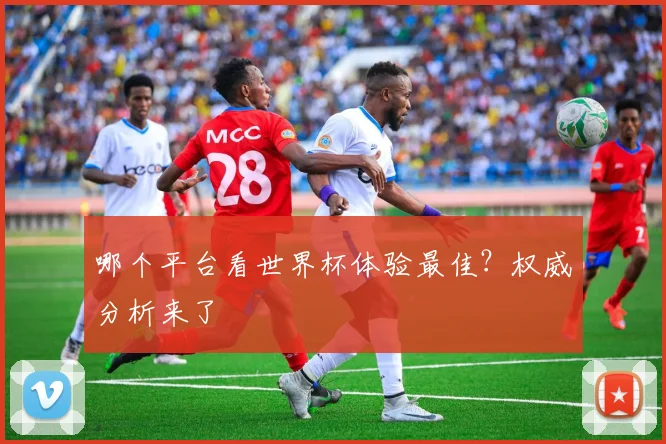 哪个平台看世界杯体验最佳？权威分析来了
