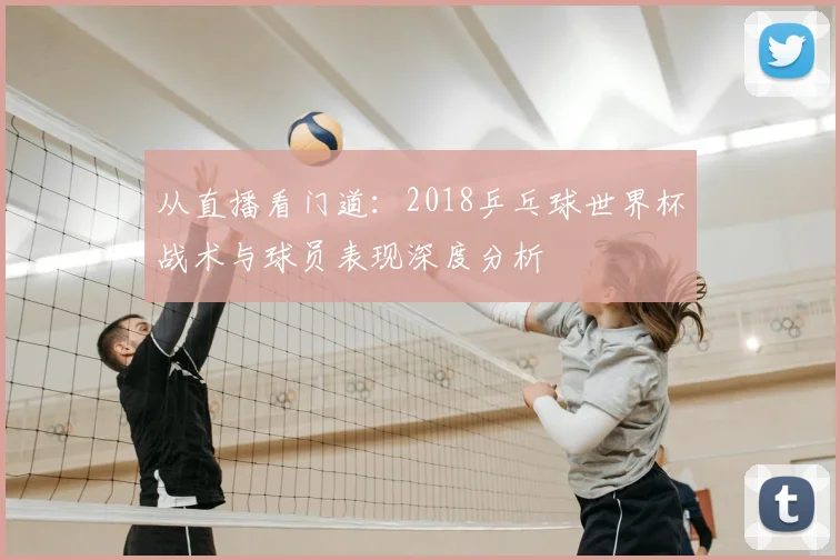 从直播看门道：2018乒乓球世界杯战术与球员表现深度分析