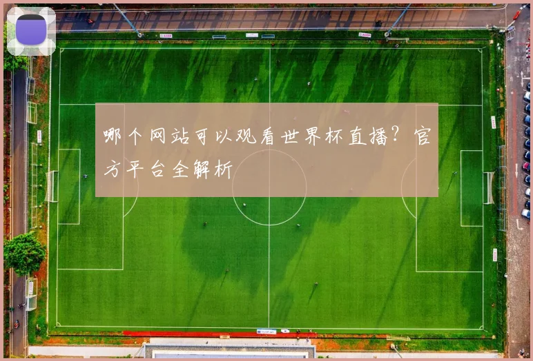哪个网站可以观看世界杯直播？官方平台全解析