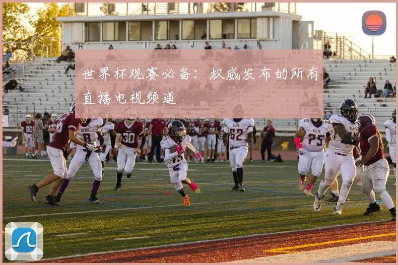 世界杯观赛必备：权威发布的所有直播电视频道