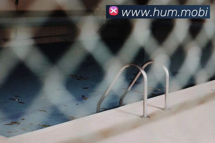 开云手机官方登录品牌故事