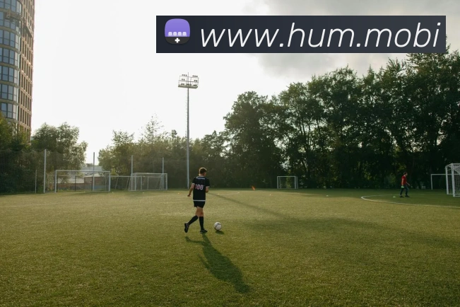 开云手机官方登录服务体系